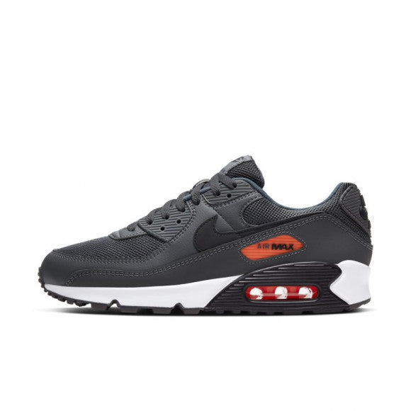 Nike Air Max 90 Iron Grey