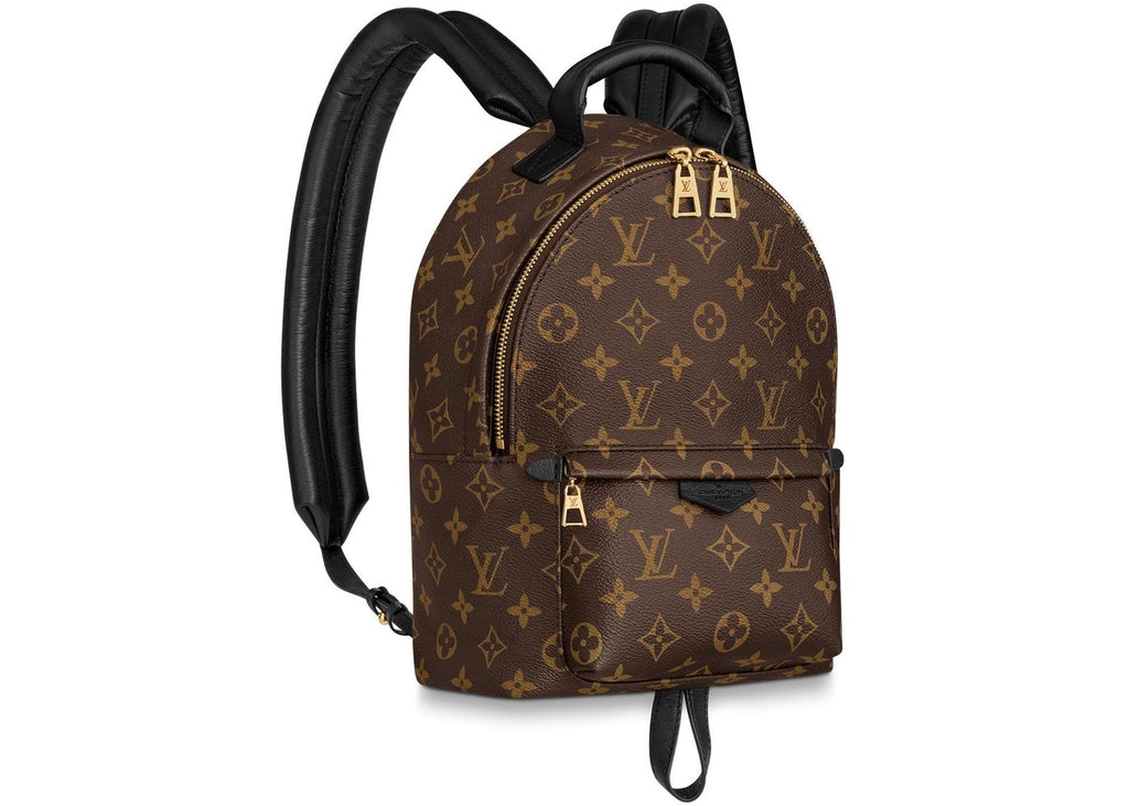Louis Vuitton Palm Springs Monogram (Updated Zipper) PM in Coated Canvas with Gold-tone