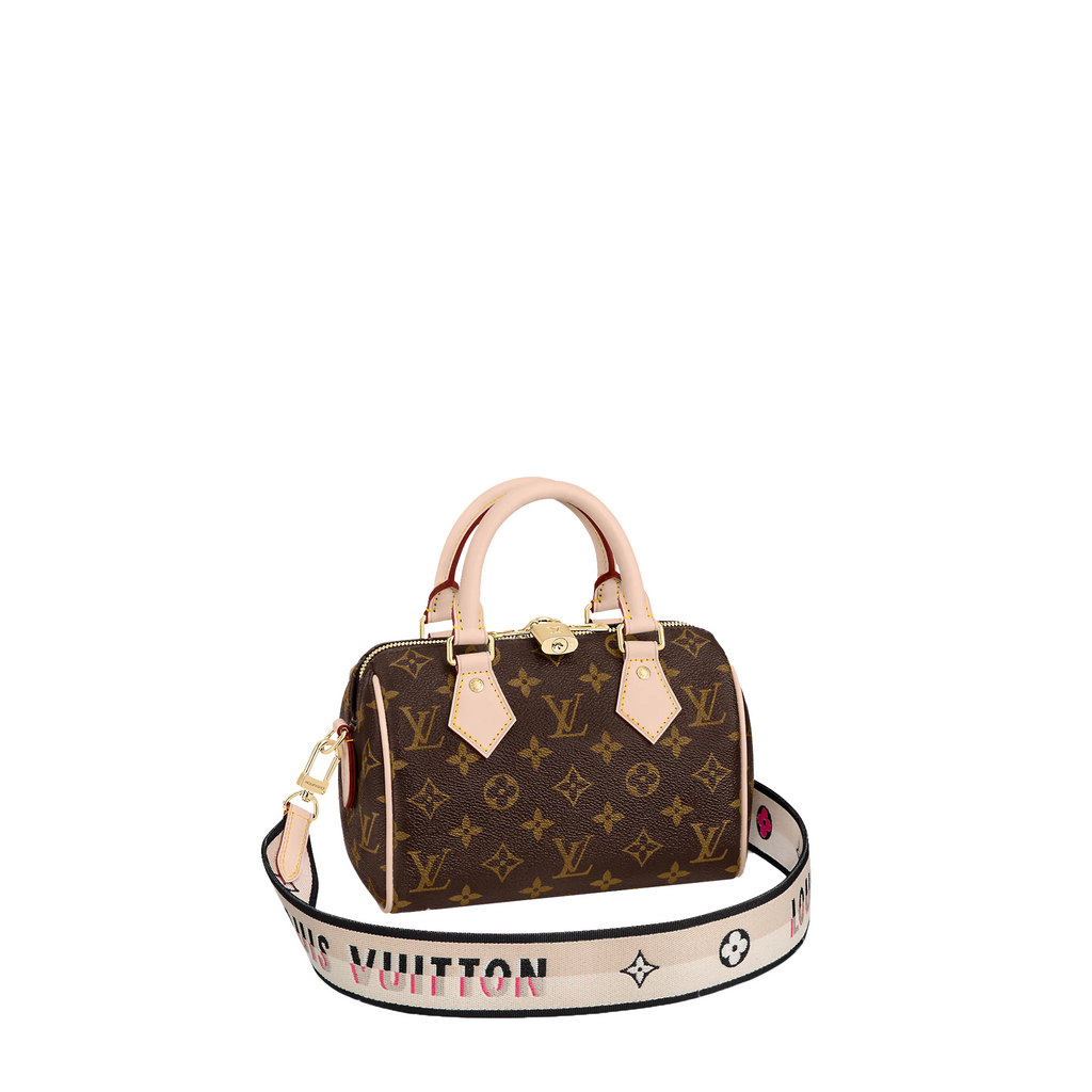 Louis Vuitton Speedy Bandoulière 20 Bag